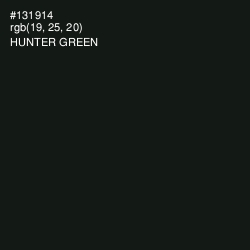 #131914 - Hunter Green Color Image